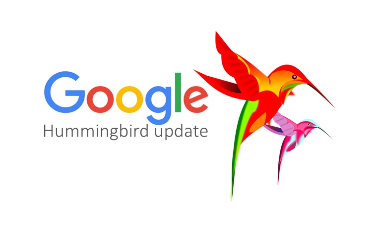 Google-Hummingbird-Algorithm-Update-Aysa.ai